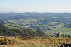 Blick vom Herzogenhorn ins Bernauer Hochtal